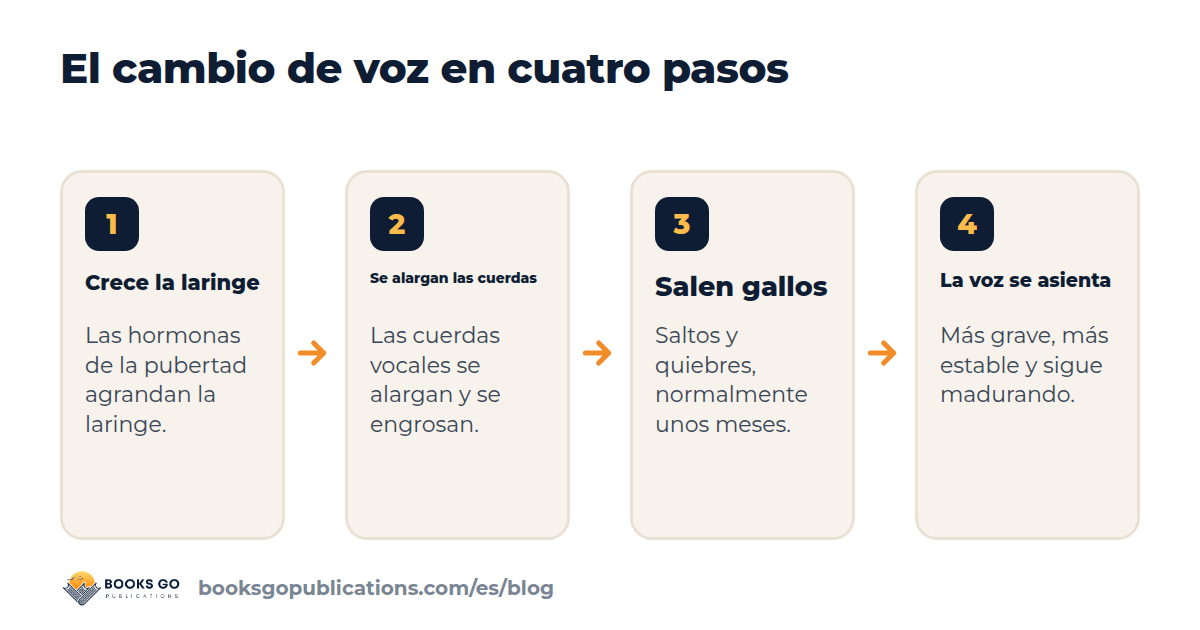 Cambio de voz en la adolescencia: cuatro pasos, de la laringe que crece a una voz más grave y estable