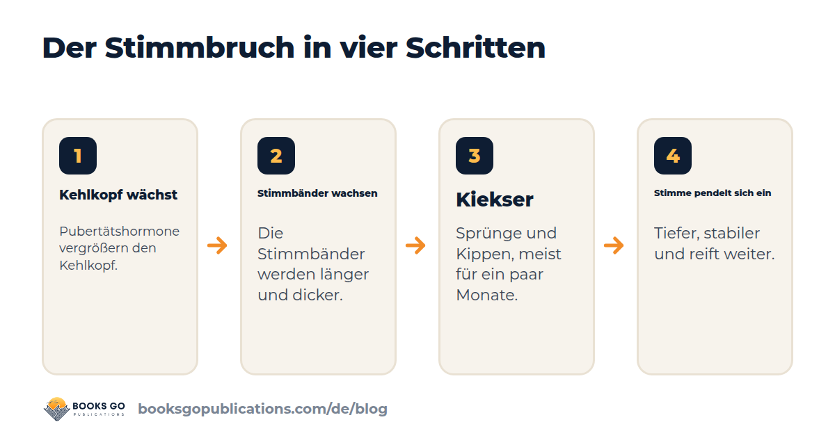 Stimmbruch in vier Schritten: vom wachsenden Kehlkopf zur tieferen, stabileren Stimme