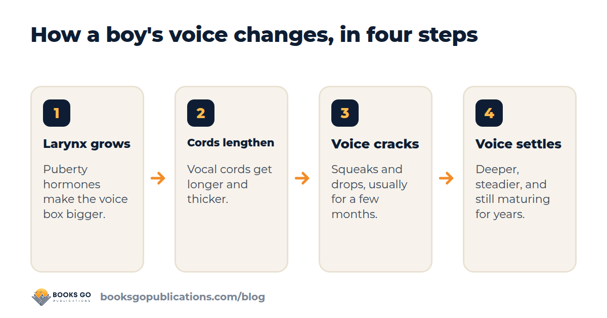 When does voice change in boys: four steps from a growing larynx to a steady, deeper voice